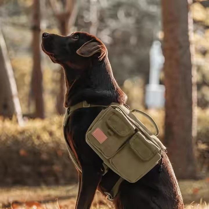 Custom Dog Backpack